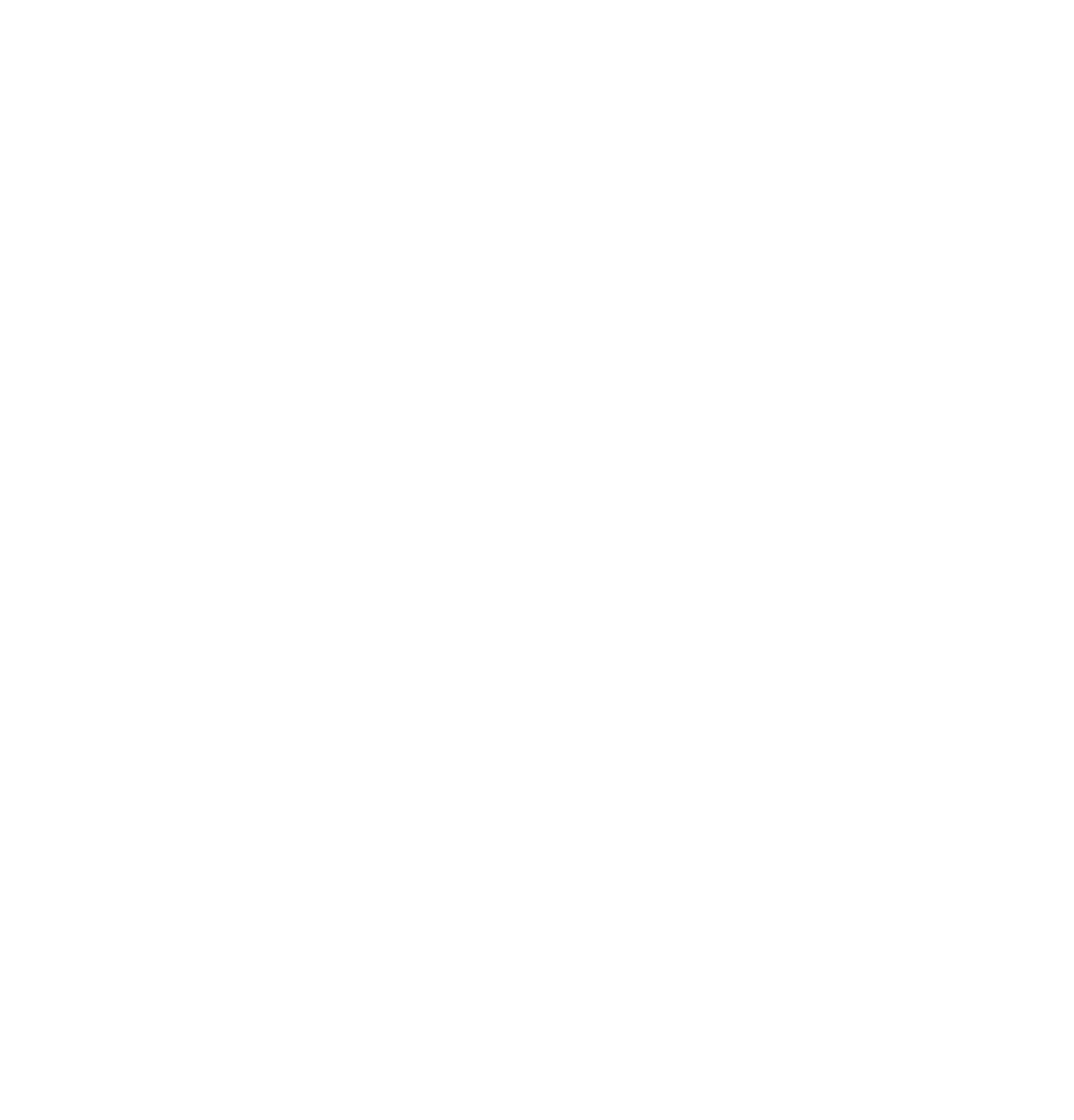 AIN logo