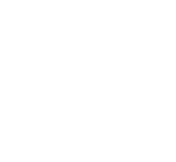 VUB logo
